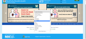 How to Apply for Learning License in Delhi- Offline and Online